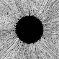 Vola